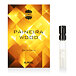 Ajmal Paineira Wood Eau de Parfum (unisex) - campioncino 1.5 ml