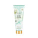Victoria's Secret Petal Plush Clouds Latte per il corpo (donna) 236 ml