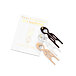 Fiona Franchimon Nº 1 Hairpin London Collection (Brown, Transparent, Soft Beige) 3 pz