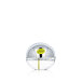 DKNY Donna Karan Be Delicious Eau de Toilette (donna) 30 ml