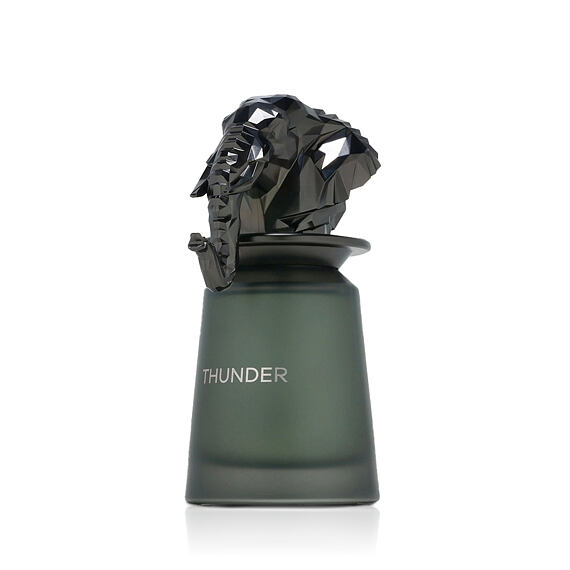 French Avenue Thunder Eau de Parfum (uomo) 100 ml