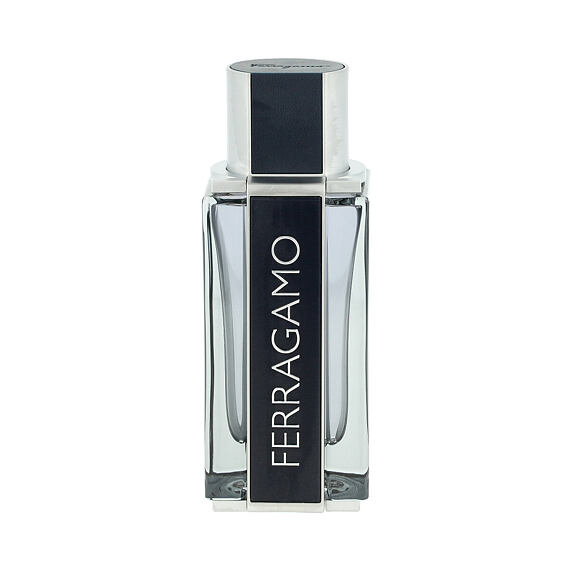 Salvatore Ferragamo Ferragamo Eau de Toilette (uomo) 100 ml