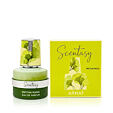 Armaf Scentasy Matcha Magix Eau de Parfum (unisex) 100 ml