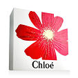 Chloé Intense EDP Intense 50 ml + Latte corpo 100 ml