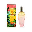 Escada Brisa Cubana Eau de Toilette (donna) 100 ml